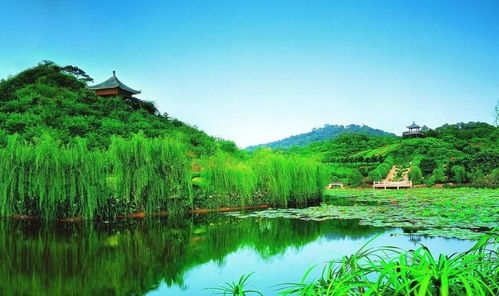 99元暢游西樵山一日游 含特產(chǎn)驚喜，盡覽名勝風光